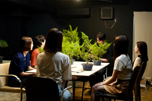 盆栽ワークショップ・Bonsai workshop